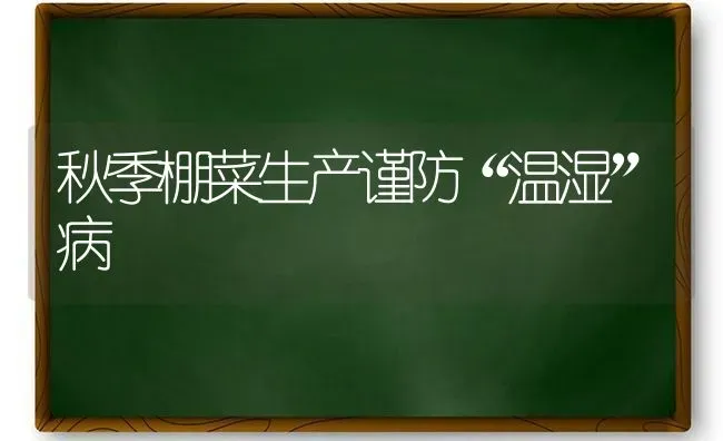 秋季棚菜生产谨防“温湿”病 | 蔬菜种植