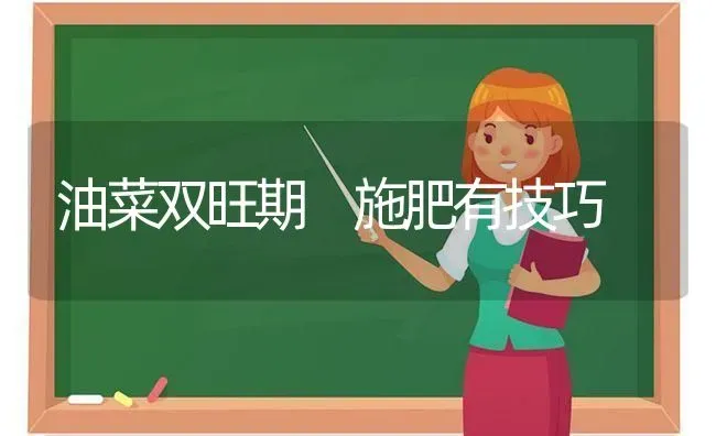 油菜双旺期 施肥有技巧 | 粮油作物种植