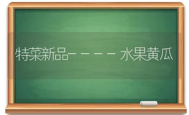 特菜新品----水果黄瓜 | 瓜果种植