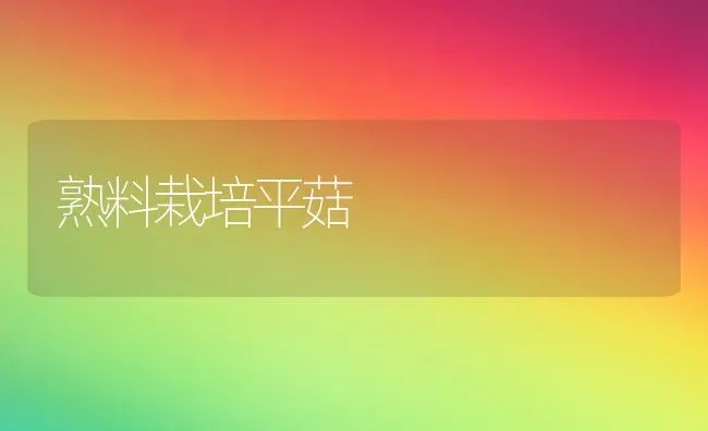 熟料栽培平菇 | 食用菌种植