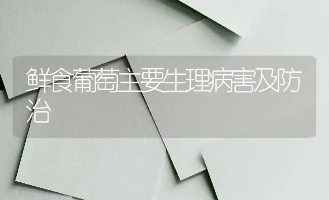 鲜食葡萄主要生理病害及防治 | 瓜果种植