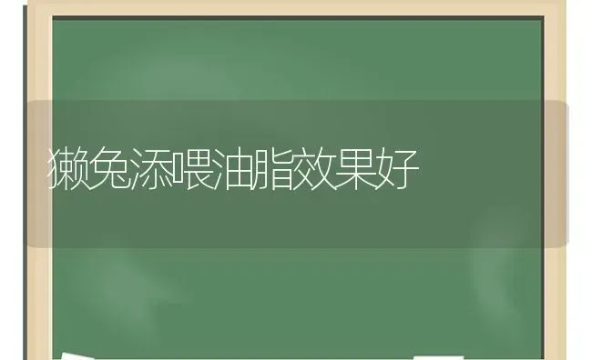 獭兔添喂油脂效果好 | 瓜果种植