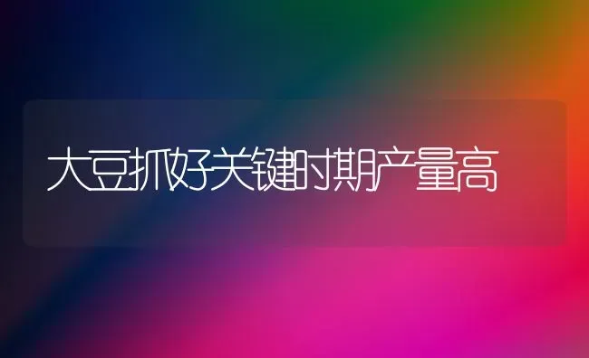 大豆抓好关键时期产量高 | 粮油作物种植