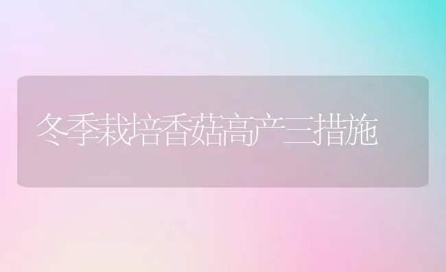 冬季栽培香菇高产三措施 | 食用菌种植