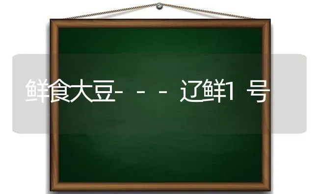 鲜食大豆---辽鲜1号 | 粮油作物种植