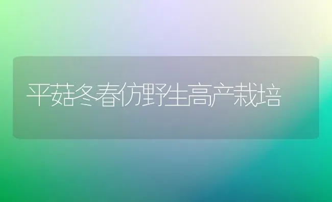 平菇冬春仿野生高产栽培 | 食用菌种植