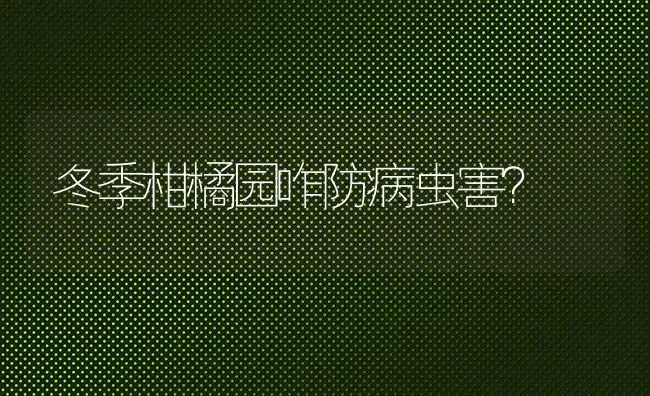 冬季柑橘园咋防病虫害？ | 种植病虫害防治