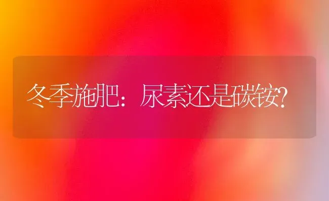 冬季施肥：尿素还是碳铵？ | 种植肥料施肥