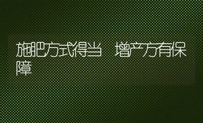 施肥方式得当 增产方有保障 | 种植肥料施肥