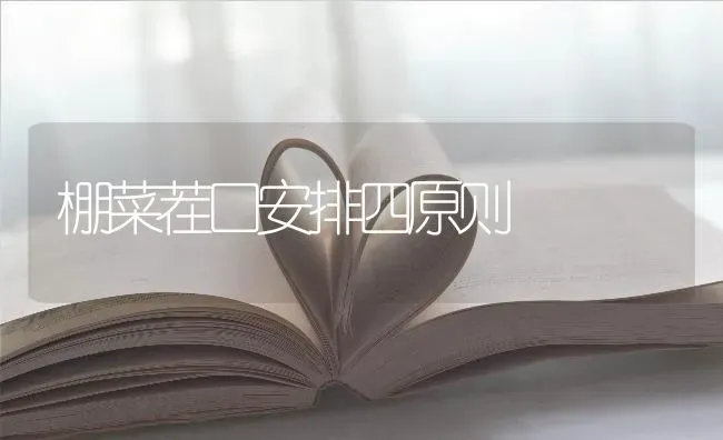棚菜茬口安排四原则 | 蔬菜种植