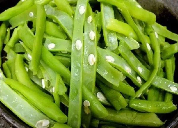 植物浇水|四季豆多少天浇一次水