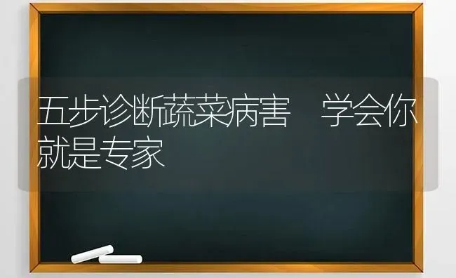 五步诊断蔬菜病害 学会你就是专家 | 蔬菜种植