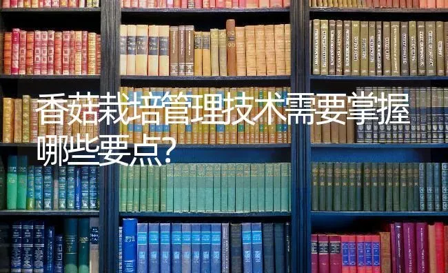 香菇栽培管理技术需要掌握哪些要点？ | 食用菌种植