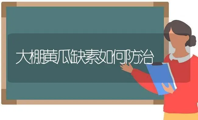 大棚黄瓜缺素如何防治 | 蔬菜种植