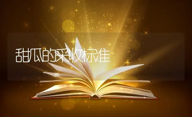 甜瓜的采收标准 | 瓜果种植