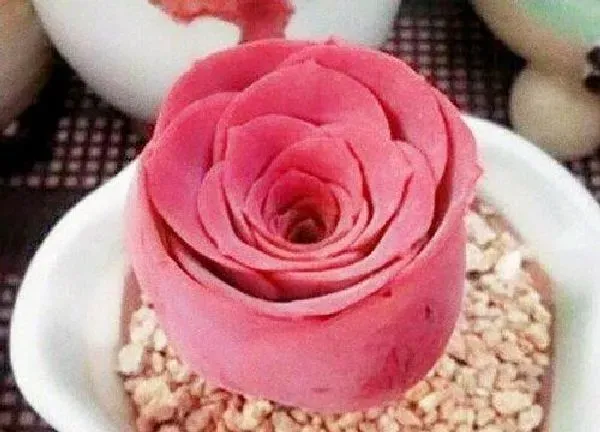 植物移栽|山地玫瑰多久服盆