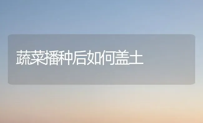 蔬菜播种后如何盖土 | 蔬菜种植