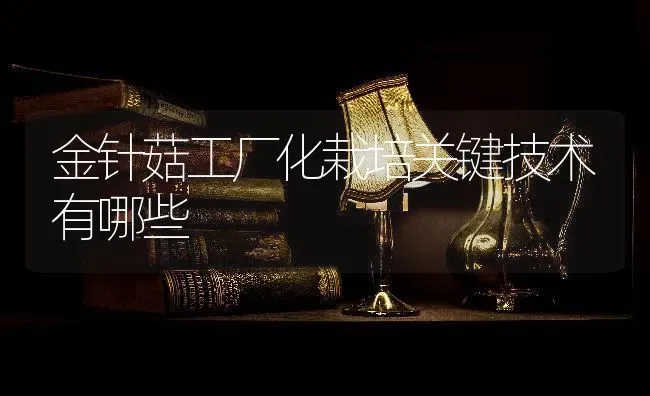 金针菇工厂化栽培关键技术有哪些 | 食用菌种植