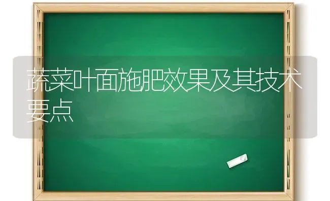 蔬菜叶面施肥效果及其技术要点 | 蔬菜种植