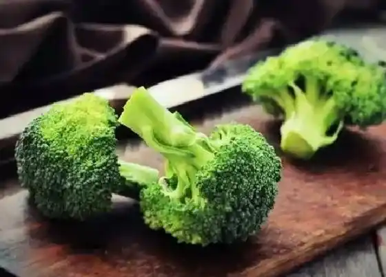 种植管理|西兰花几月份种植合适