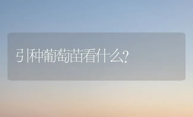 引种葡萄苗看什么？ | 瓜果种植