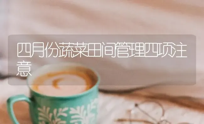 四月份蔬菜田间管理四项注意 | 蔬菜种植