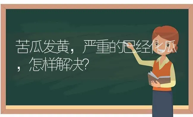 苦瓜发黄，严重的已经化瓜，怎样解决？ | 蔬菜种植