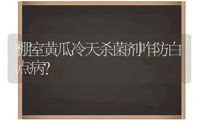 棚室黄瓜冷天杀菌剂咋防白点病？ | 蔬菜种植