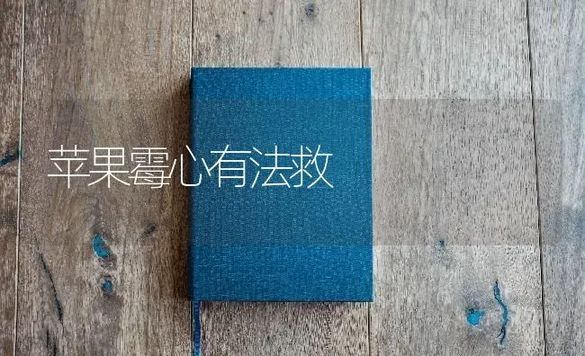 苹果霉心有法救 | 瓜果种植