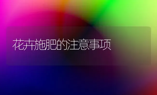 花卉施肥的注意事项 | 种植肥料施肥