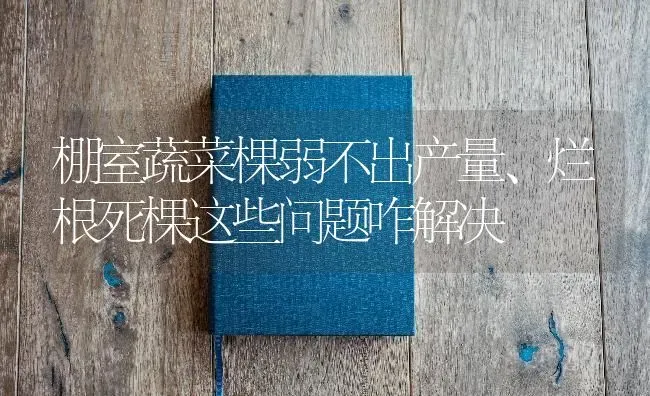 棚室蔬菜棵弱不出产量、烂根死棵这些问题咋解决 | 蔬菜种植