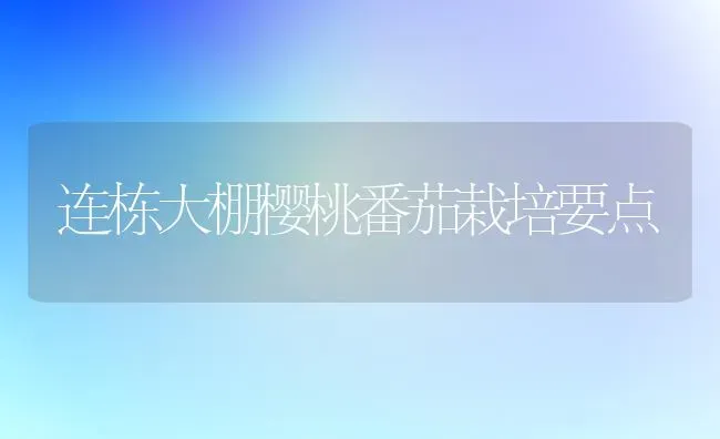 连栋大棚樱桃番茄栽培要点 | 瓜果种植