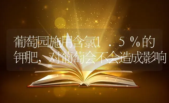 葡萄园施用含氯1.5%的钾肥，对葡萄会不会造成影响 | 瓜果种植