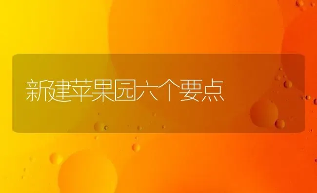 新建苹果园六个要点 | 瓜果种植