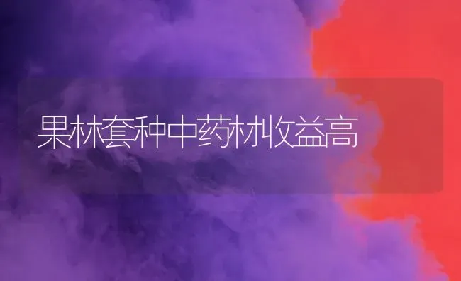 果林套种中药材收益高 | 瓜果种植