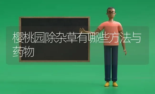 樱桃园除杂草有哪些方法与药物 | 瓜果种植