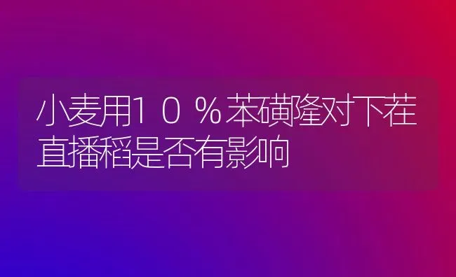 小麦用10%苯磺隆对下茬直播稻是否有影响 | 粮油作物种植