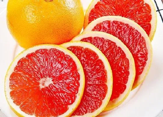 食用常识|红心柚含糖量高吗