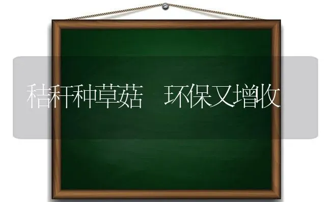 秸秆种草菇 环保又增收 | 食用菌种植