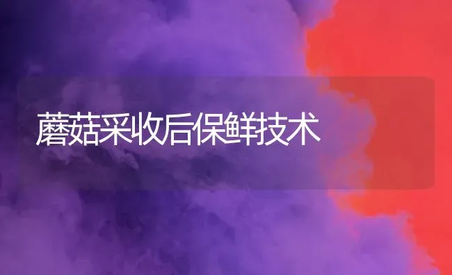 蘑菇采收后保鲜技术 | 食用菌种植