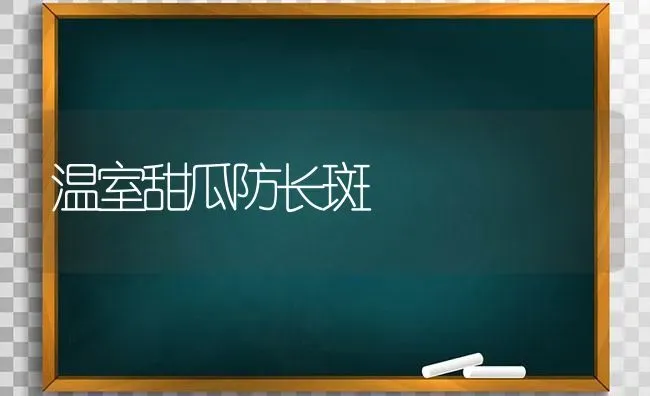 温室甜瓜防长斑 | 瓜果种植