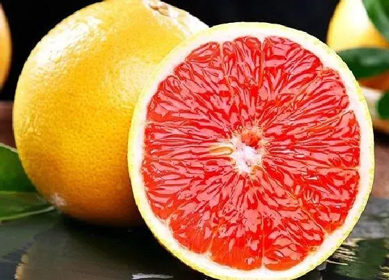 食用常识|红心柚含糖量高吗