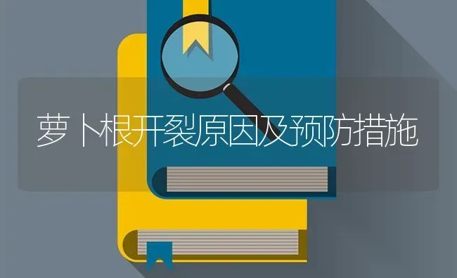 萝卜根开裂原因及预防措施 | 蔬菜种植