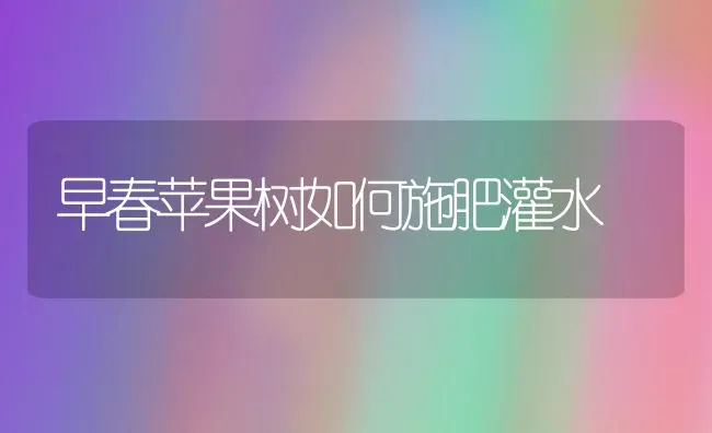 早春苹果树如何施肥灌水 | 瓜果种植