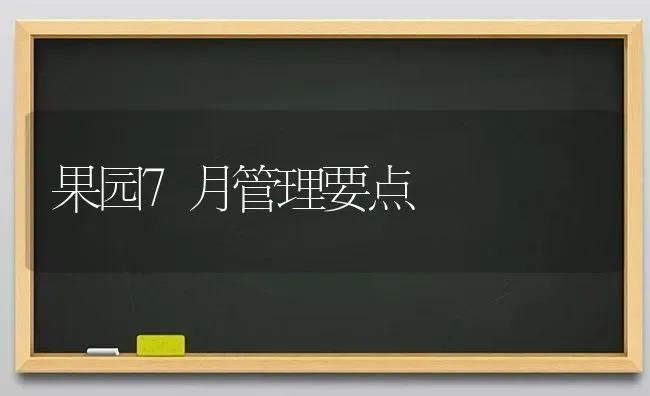 果园7月管理要点 | 瓜果种植