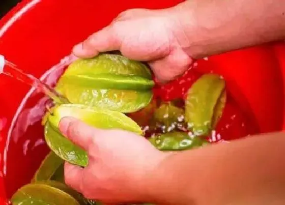 食用技巧|杨桃怎么洗才干净