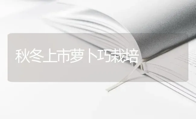 秋冬上市萝卜巧栽培 | 蔬菜种植