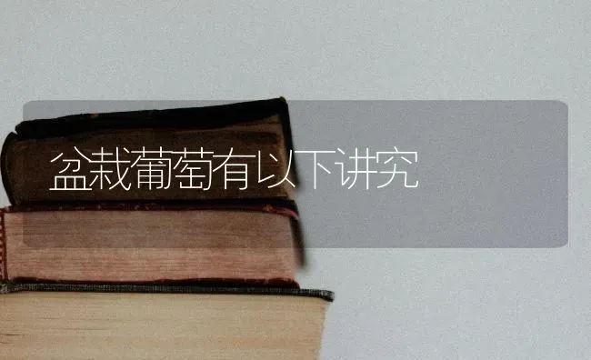 盆栽葡萄有以下讲究 | 瓜果种植