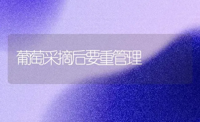 葡萄采摘后要重管理 | 瓜果种植