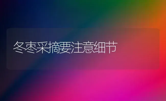 大白菜烂心怎么回事 | 蔬菜种植